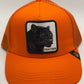 Goorin adjustable fashion All trucker hats
