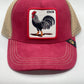 Goorin adjustable fashion All trucker hats